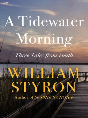 cover image of A Tidewater Morning